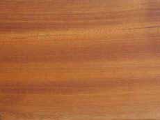 Mahogany-swietenia.jpg (111718 bytes)