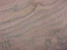 blackwalnut.jpg (71791 bytes)