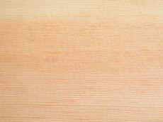 douglas fir.jpg (105325 bytes)