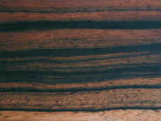 ebony-striped.jpg (79990 bytes)