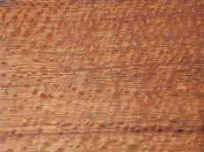 lacewood.jpg (133223 bytes)