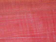 pink.jpg (118222 bytes)