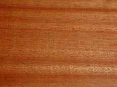 sapele.jpg (143809 bytes)