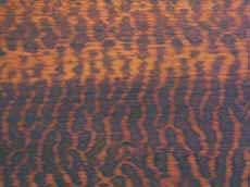 snakewood.jpg (151407 bytes)